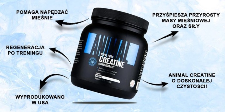 Animal Creatine Powder, Unflavored – 500 g