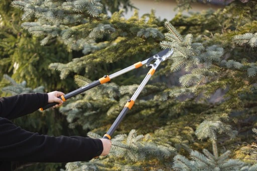 SEKATOR TELESKOPOWY KOWADEŁKOWY DO GAŁĘZI KRZEWÓW PĘDÓW OGRODOWY + RĘKAWICE