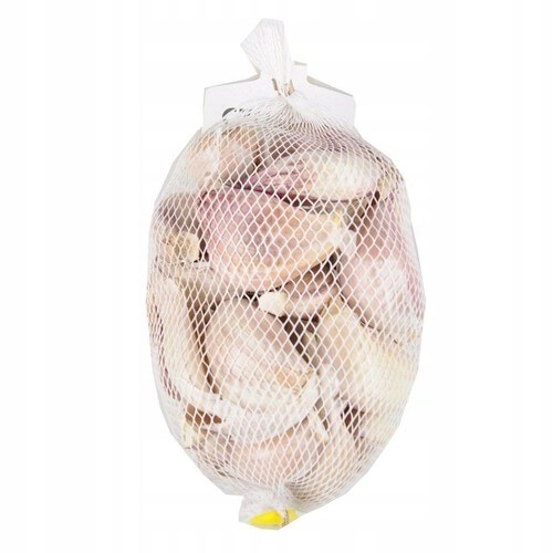 Czosnek Polski Harnaś zimowy 500g duże ząbki z własnej uprawy zdrowy