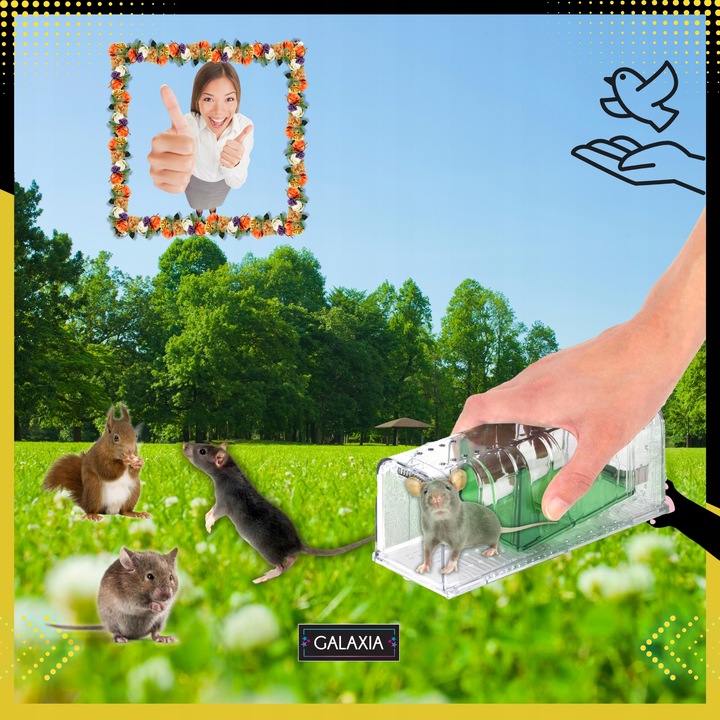 ŻYWOŁAPKA NA MYSZY 2 SZT Pułapka Łapka Szczury Pułapki Łapki 2X