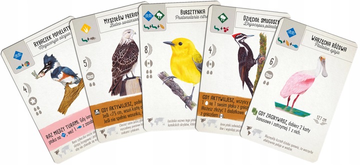 Gra planszowa Rebel Na skrzydłach