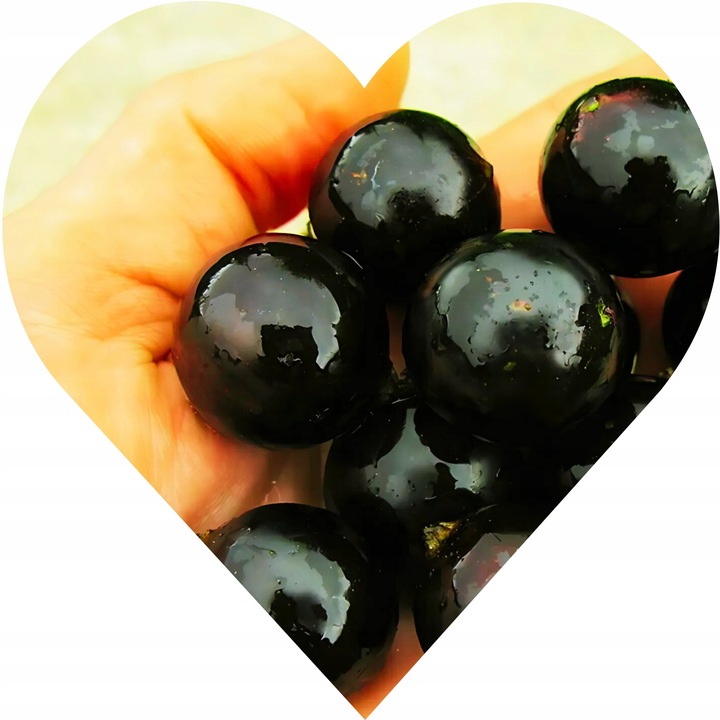 porzeczka CZARNA GIGANT OLBRZYMIA NA PNIU jak kule do kręgli, jak