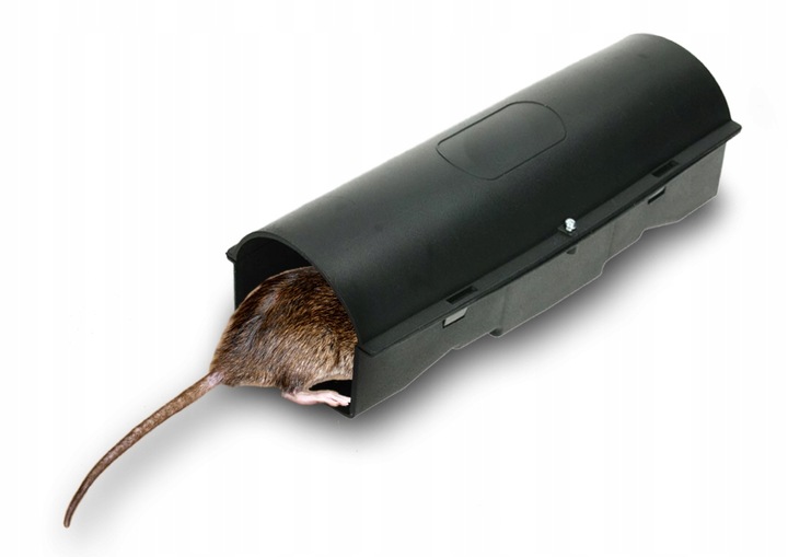 5X KARMNIK STACJA DERATYZACYJNA NA TRUTKĘ + 1KG TRUTKA NA MYSZY