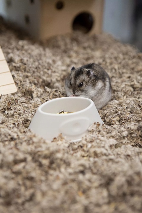 COMFY COTTON BEDDING PODŁOŻE BAWEŁNIANE 10L