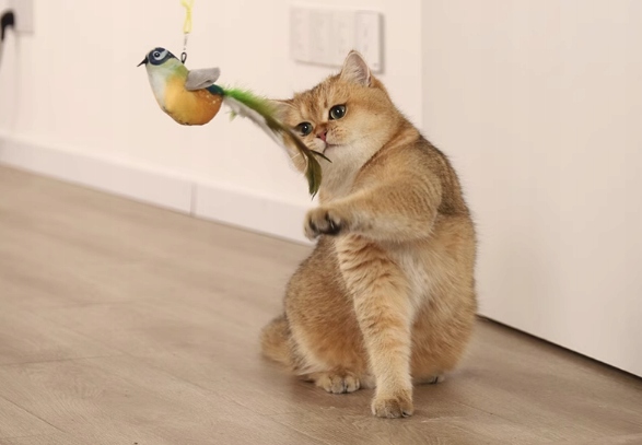 ZABAWKA DLA KOTA PRZYSSAWKA NA DRZWI RUCHOMA PTAK