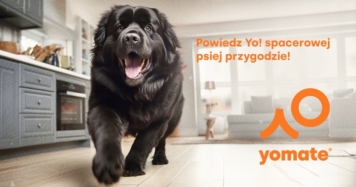 MOCNA SMYCZ dla DUŻEGO PSA / AUTOMATYCZNA / ZWIJANA / BLOKADA / 5 Metrów