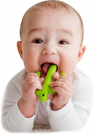 GiliGums DUMEL GRYZAK SZCZOTECZKA DO ZĘBÓW KAKTUS