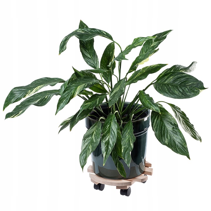 PODSTAWKA POD DONICZKĘ DONICĘ NA KÓŁKACH DREWNIANA OKRĄGŁA PODEST 30