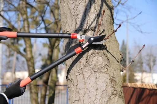 SEKATOR DO KONARÓW YATO TELESKOPOWY OGRODOWY 960MM