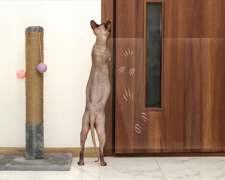 FOLIA OCHRONNA BEZBARWNA Drzwi Meble PRZECIW DRAPANIU Samoprzylepna 50x100