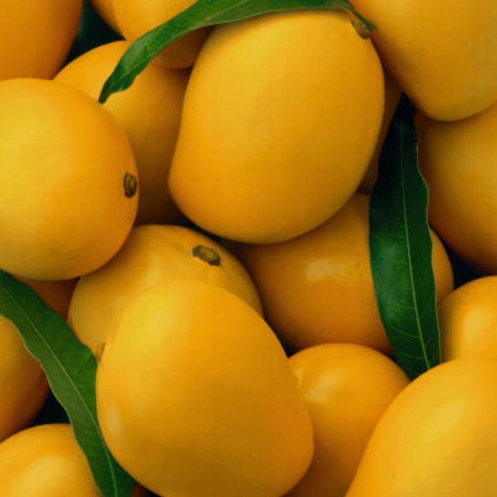 GLIMMERSTONE KREMOWE MYDŁO W PŁYNIE DO RĄK NAWILŻAJĄCE - ŚWIEŻE MANGO - 5L