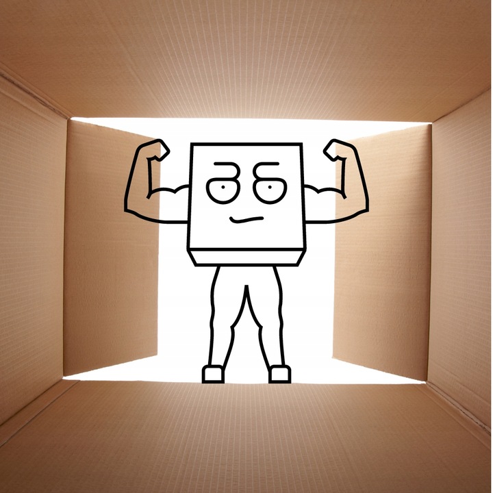 Karton 300x200x150 40szt pudełko klapowe INPOST GABARYT B kartony 30x20x15