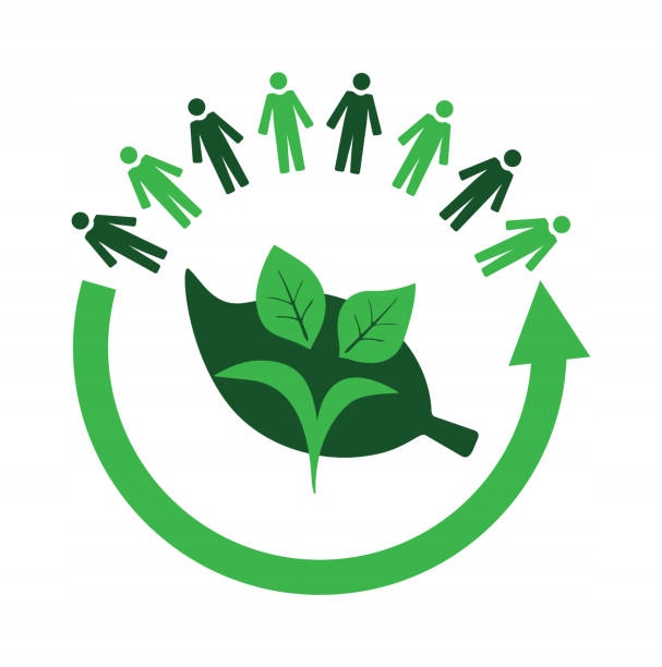 JM KOLIS Wąż ogrodowy ZEBRA 6-warstw 3/4' 10m trwały i solidny