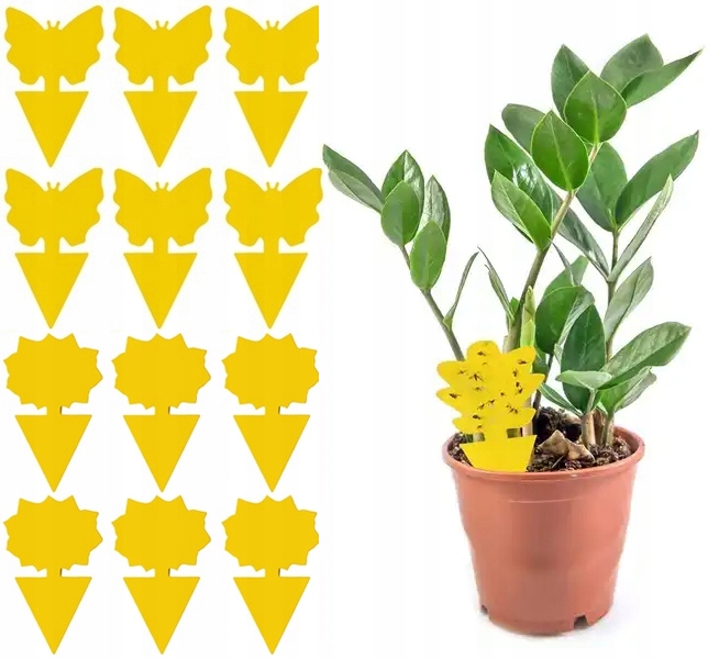 12x ŻÓŁTY LEP DO DONICZEK MOTYL na Ziemiórki Mszyce Muszki Owocówki Owady