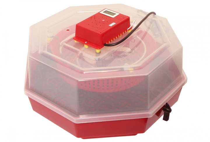 Inkubator wylęgarka na 60 jaj półautomat klujnik