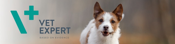 Mokra karma dla psów problemy z trawieniem Vet Expert Intestinal