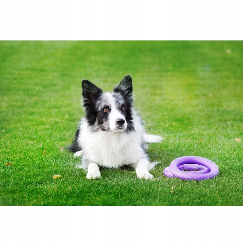 Szarpak dla psa PULLER midi 19,5 cm ring 2 szt. dla średnich ras psów