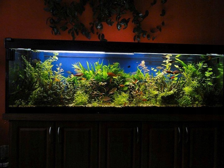 4x1000ml MIKRO, MAKRO, CARBO, POTAS