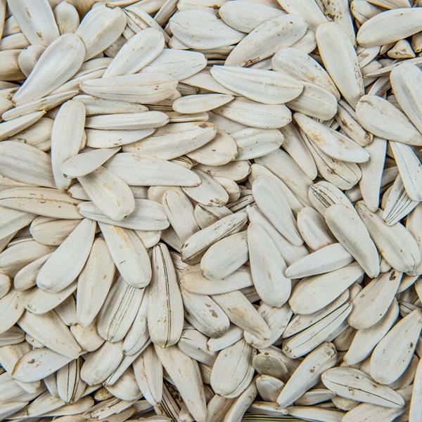 SŁONECZNIK PRAŻONY BIAŁY TURECKI SOLONY 800g