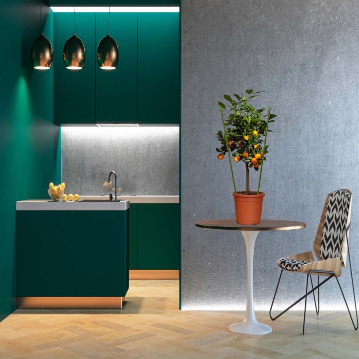 Podpórka do Kwiatów Podpora dla Roślin Doniczkowych Pnących Kwiatka 61cm 5x