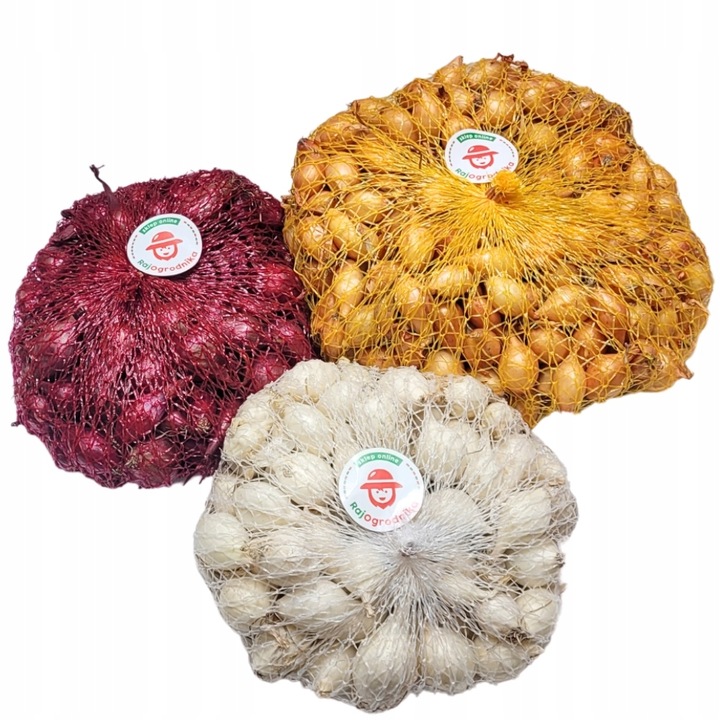 CEBULA DYMKA ZIMOWA Zestaw ŻÓŁTA BIAŁA CZERWONA 1 KG do sadzenia ozima