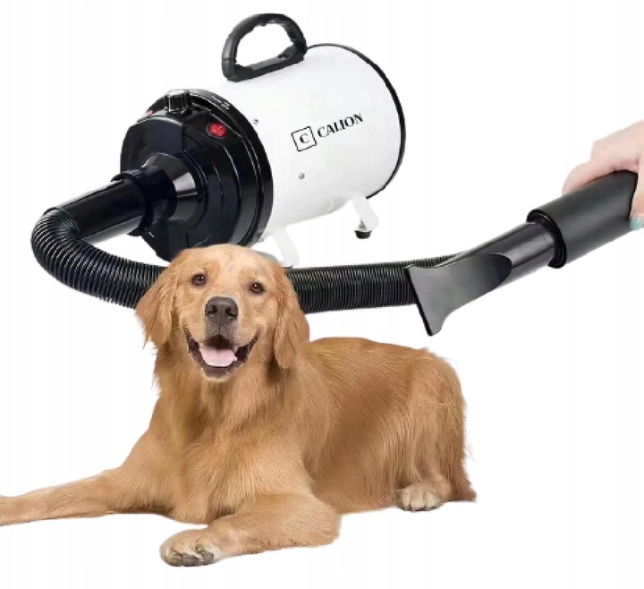 Suszarka do sierści dla psa i kota