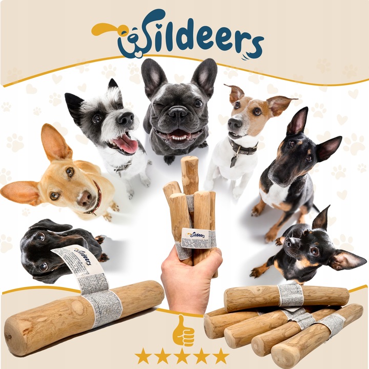 PATYK Z DRZEWA KAWOWEGO S NATURALNY KAWOWY GRYZAK DLA PSA WYTRZYMAŁY MAŁY