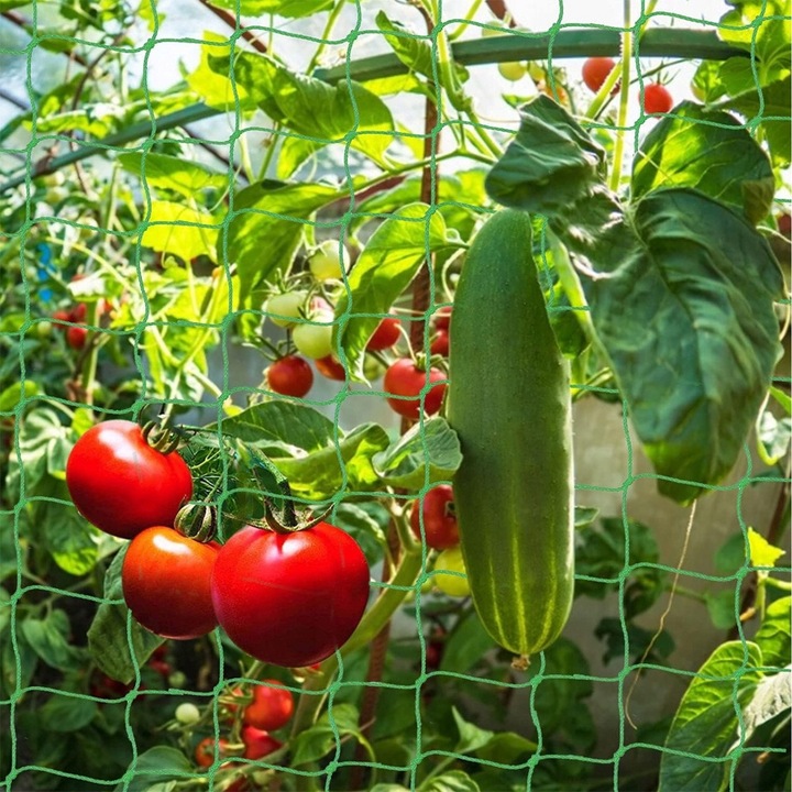 Podpora z siatką do ogórków i pomidorów 180 cm - Stelaż do roślin pnących