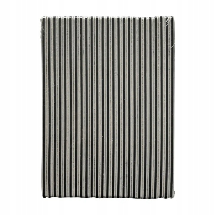 STALEKS Pilnik Łódka Do Paznokci Mineralny Expert 100/180 - 25 sztuk