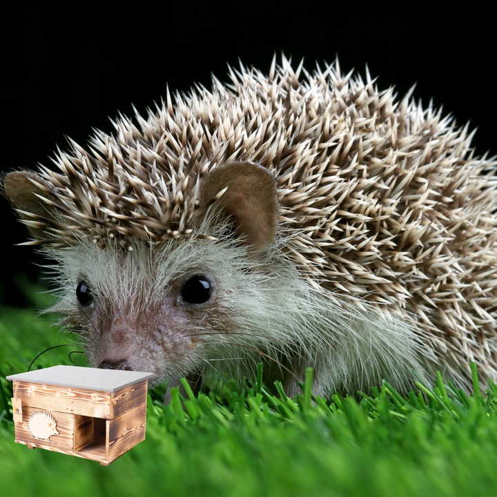 Domek dla Jeża Jeży DREWNIANY budka dom legowisko producent XXL