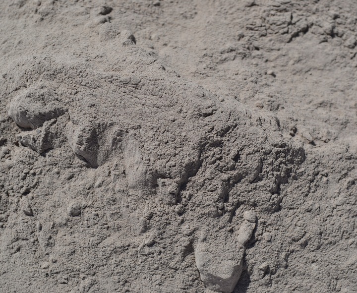 Mączka bazaltowa kruszywo pył trawnik ogród 25kg