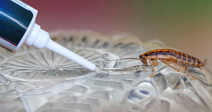 SILNA TRUTKA ŻEL ŚRODEK NA KARALUCHY PRUSAKI STRONG PREPARAT 10G