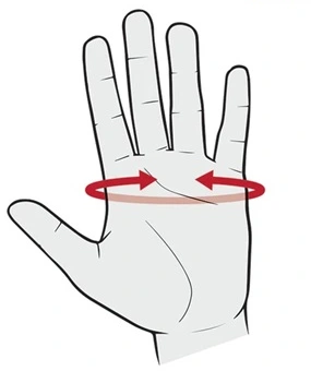 ZESTAW NOŻYCE DO ŻYWOPŁOTU + SEKATOR + 4x RĘKAWICE