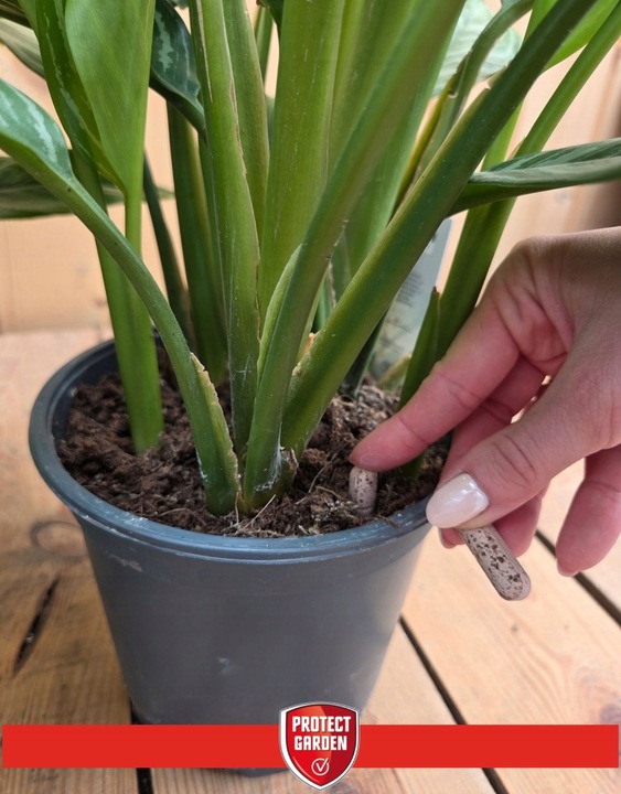 SANIUM PIN 2w1 Pałeczki Owadobójcze + Nawozowe na Ziemiórki Tarczniki