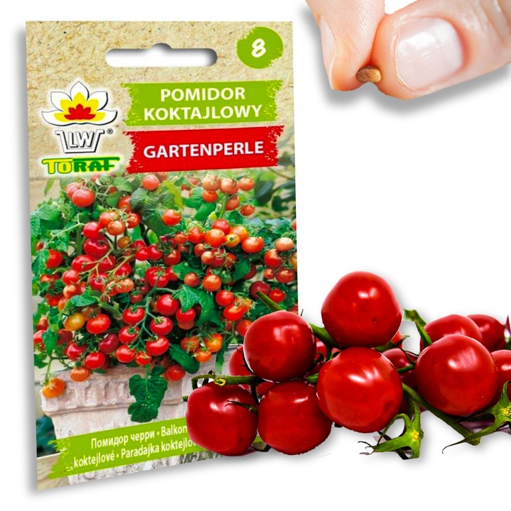 Nasiona warzyw marchew ogórek pietruszka burak NA DOBRY START UDANE PLONY