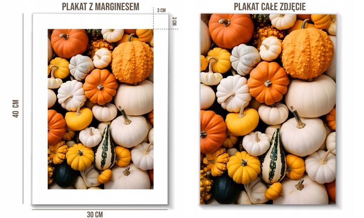 Obraz 30x40 Jesień Jesienne DUŻO WZORÓW plakaty dekoracja do salonu