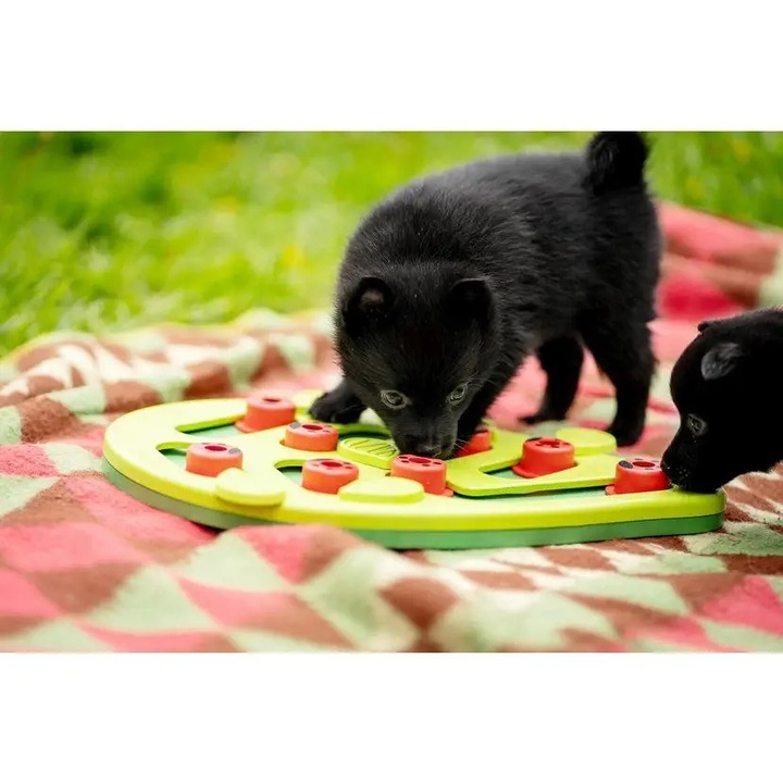 Nina Ottosson Cat Buggin' Out Puzzle & Play