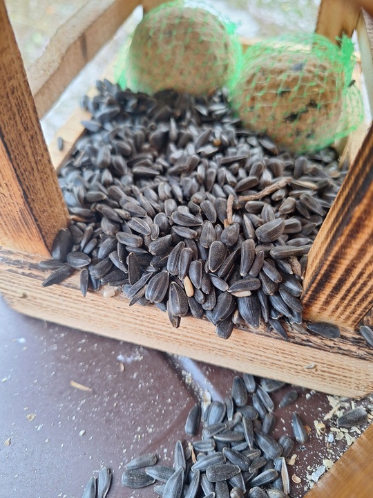 Słonecznik czarny 14 kg pokarm dla papug karma dla ptaków GRTIS kula tluszc