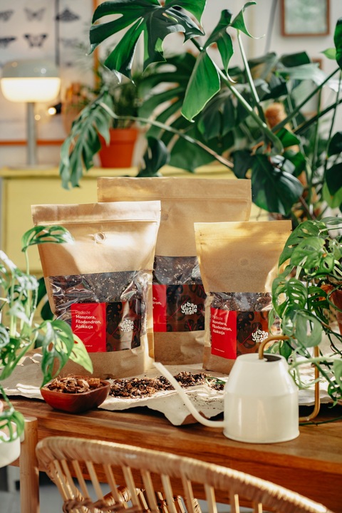 Ziemia do MONSTER, FILODENDRONA, ALOKAZJI, ANTHURIUM EPI 3L bigos,