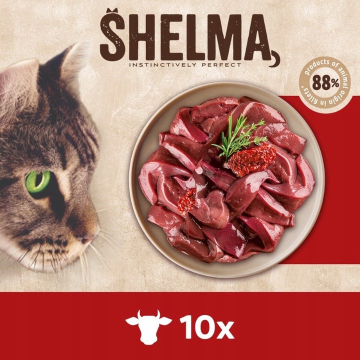 MOKRA KARMA DLA KOTA SHELMA MEGA BOX 40X85G FILECIKI MIX 4 SMAKÓW BEZ