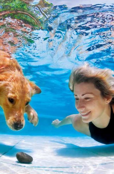 Basen OGRODOWY 366 x 76 cm Stelażowy ZESTAW 16w1