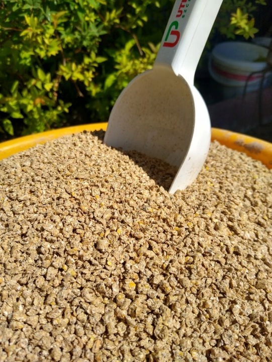 PASZA DLA KURCZAT 2 KARMA DLA MAŁYCH KURCZAT WITAMINY 25KG DKM 2 BEZ GMO