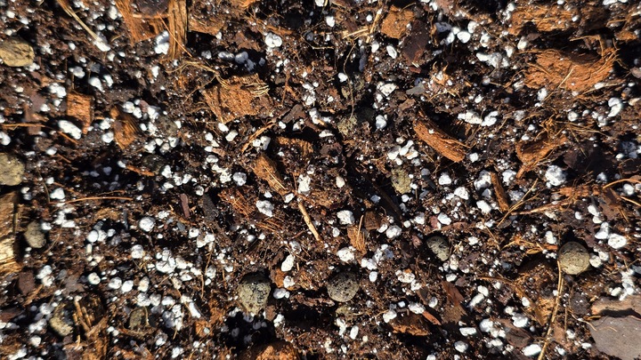 15L Lekkie podłoże PREMIUM ziemia do roślin doniczkowych monster BIGOS