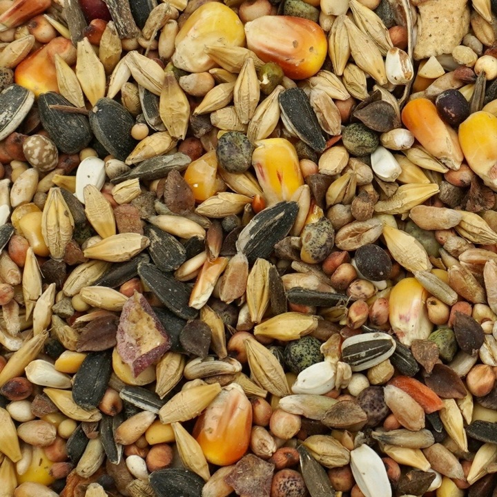 20kg Uniwersalna Karma dla Ptaków Ziarno Pokarm Zimowy Karmnik Champi