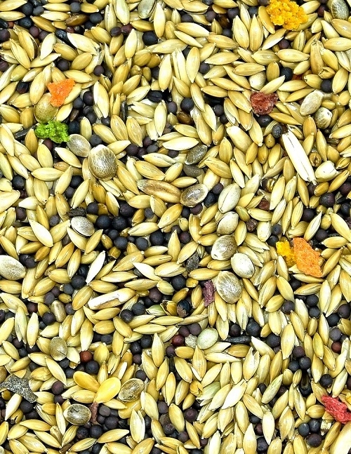 karma dla kanarka Standard MDM KS 1 x 10kg fa