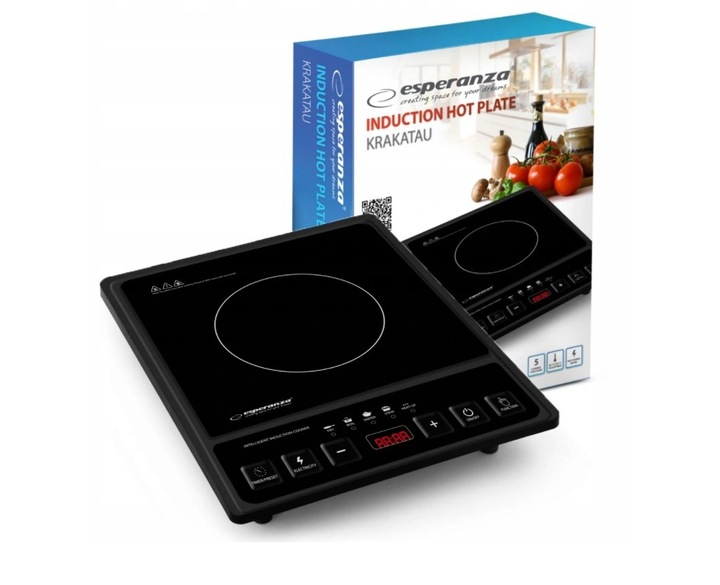 PŁYTA INDUKCYJNA KUCHENKA ELEKTRYCZNA 2000W TIMER