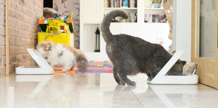 AUTOMATYCZNE KARMIDŁO POJEMNIK NA KARMĘ OTWIERAJĄCY SIĘ NA CHIP