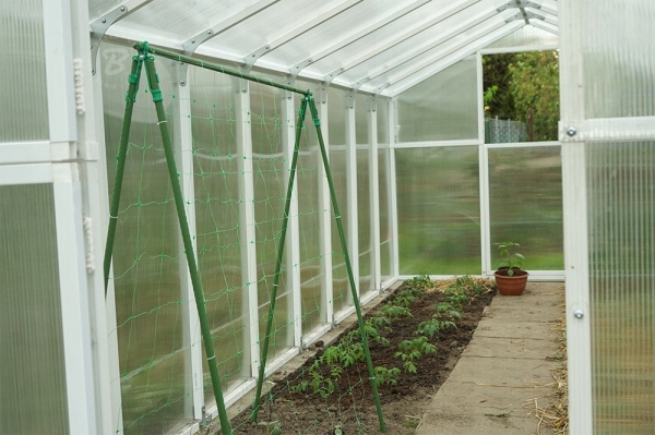 Tyczka Podpora Palik do Pomidorów Roślin Kwiatów 1,1 x 150 cm 10 szt