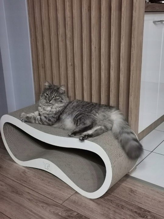 DRAPAK DLA KOTA KARTONOWY DUŻY LEGOWISKO 75x26x25 cm HomeCatty