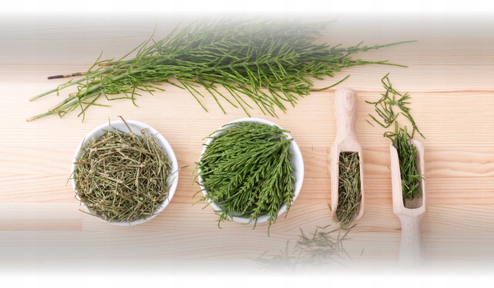 FITOLIZYNA NEFROCAPS FORTE x 30 KAPS